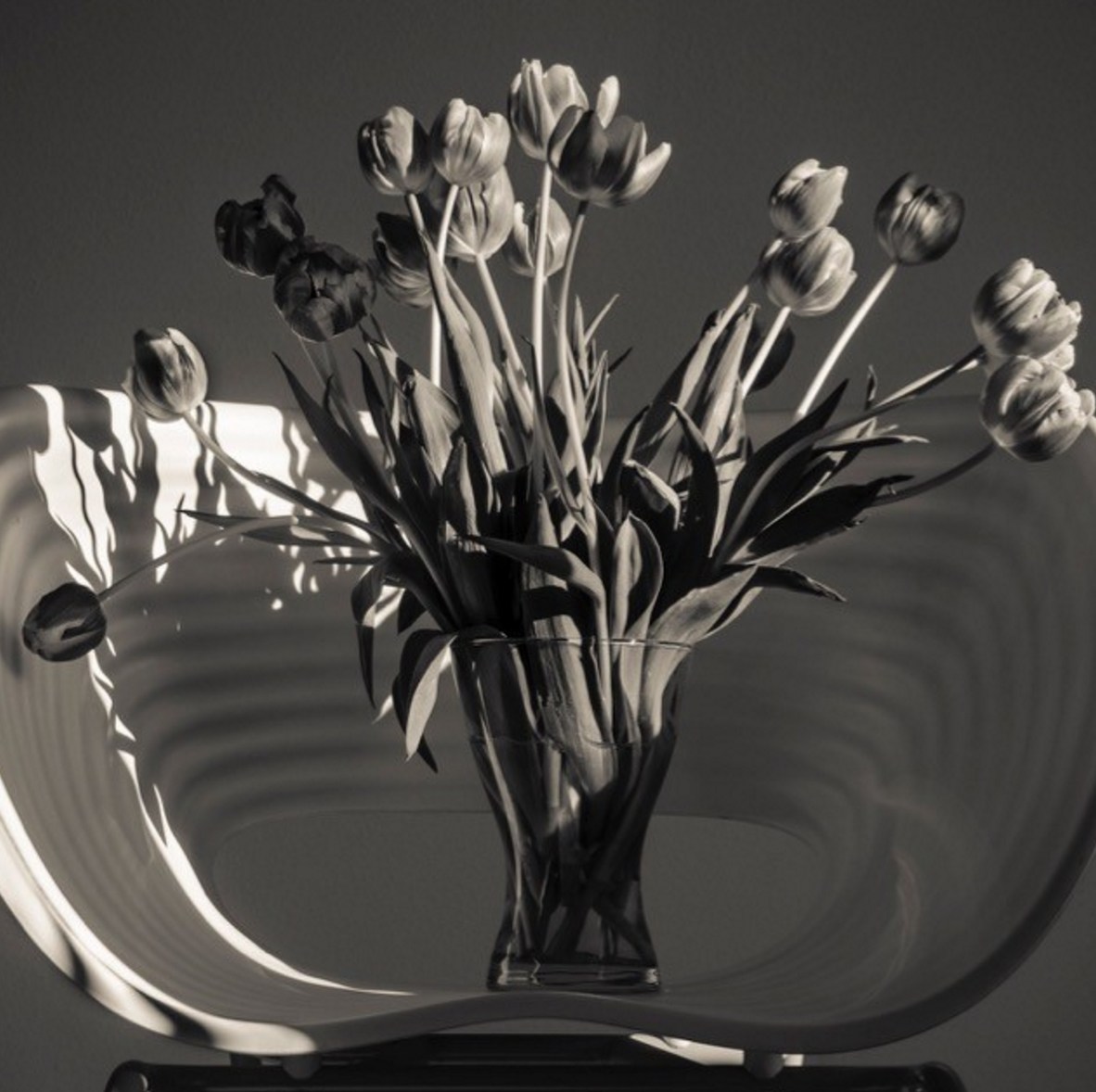 创意火狐官方网站 - 坐具|休闲椅|办公火狐官方网站|火狐HUOHU（中国）火狐官方网站|汤姆维特休闲椅